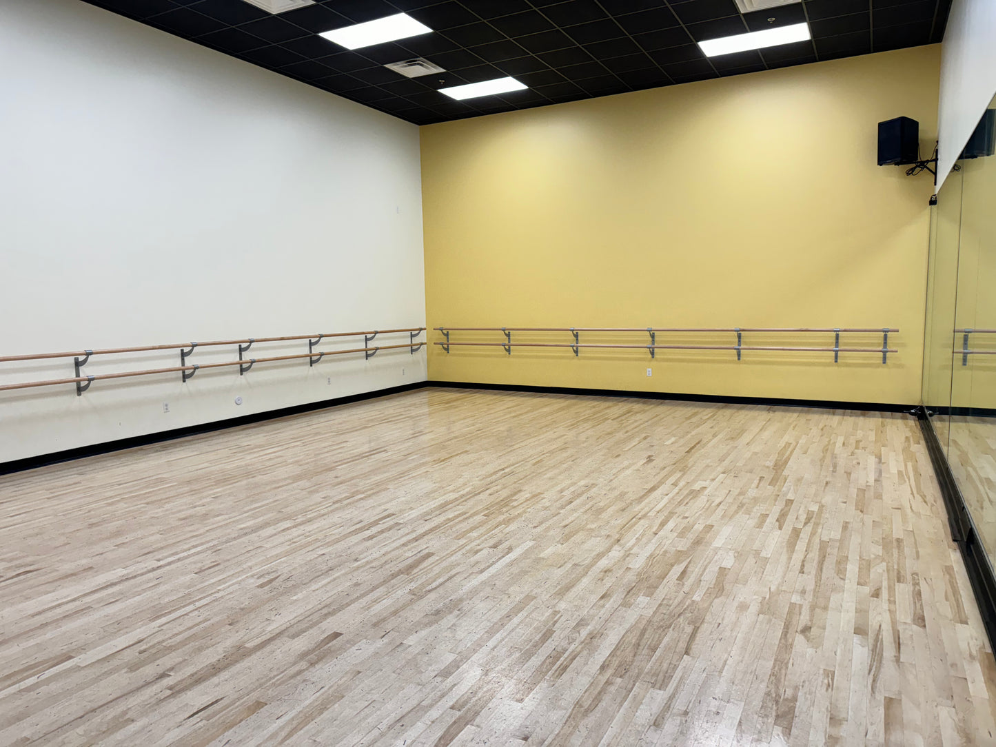 Rent - Studio 3 - (840 Square Feet)