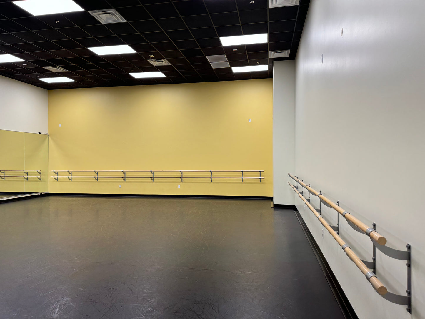 Rent - Studio 5 - (1,295 Square Feet)