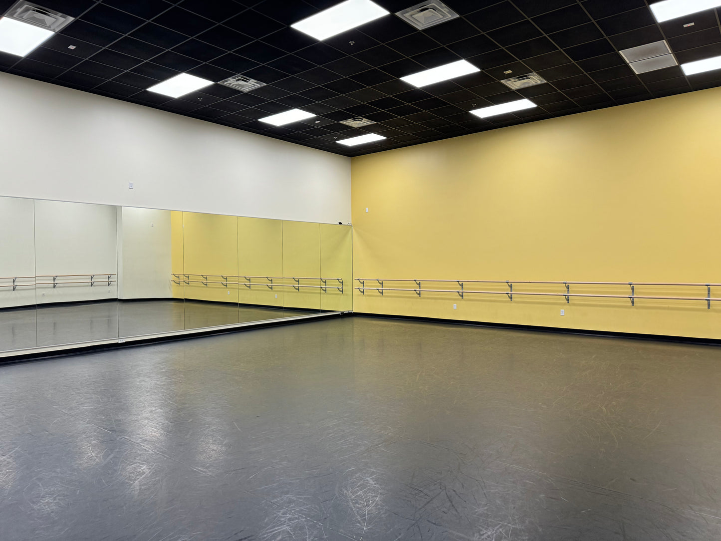 Rent - Studio 5 - (1,295 Square Feet)